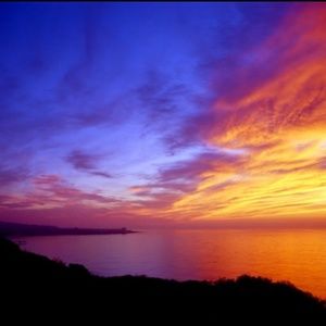 Meet your Posher, Gianna